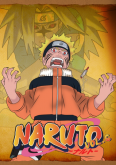 Naruto Vol. 06