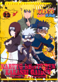 Naruto Shippuden Vol. 12