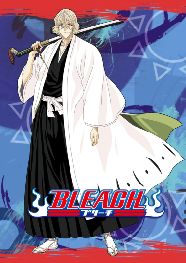 Bleach (Legendado) Vol. 09