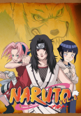 Naruto Vol. 08