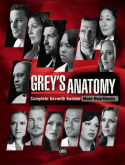 Grey's Anatomy 7° Temporada